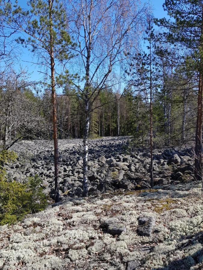 Lehmirannan Lomakeskus Hotel Salo  Bagian luar foto
